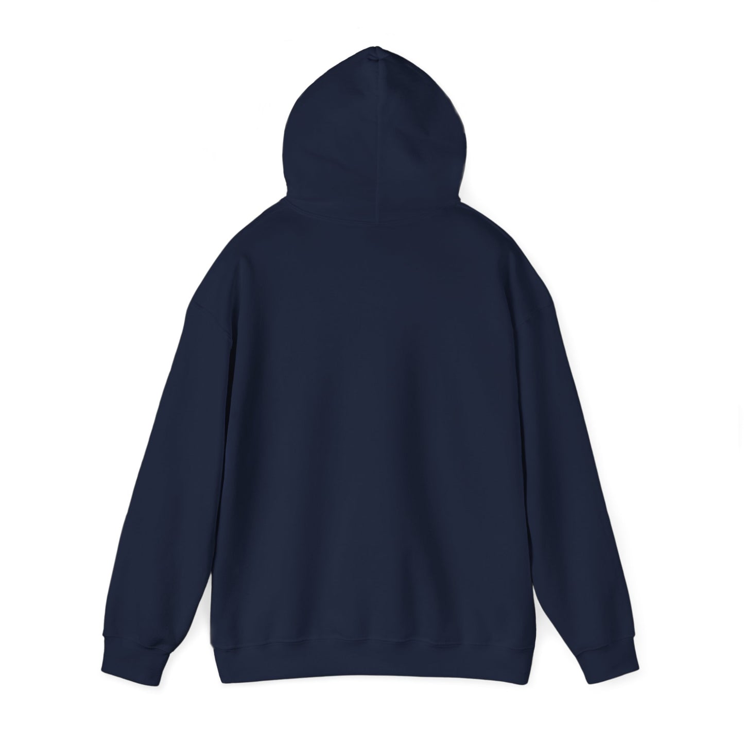 Make America's Team Great Again Hoodie