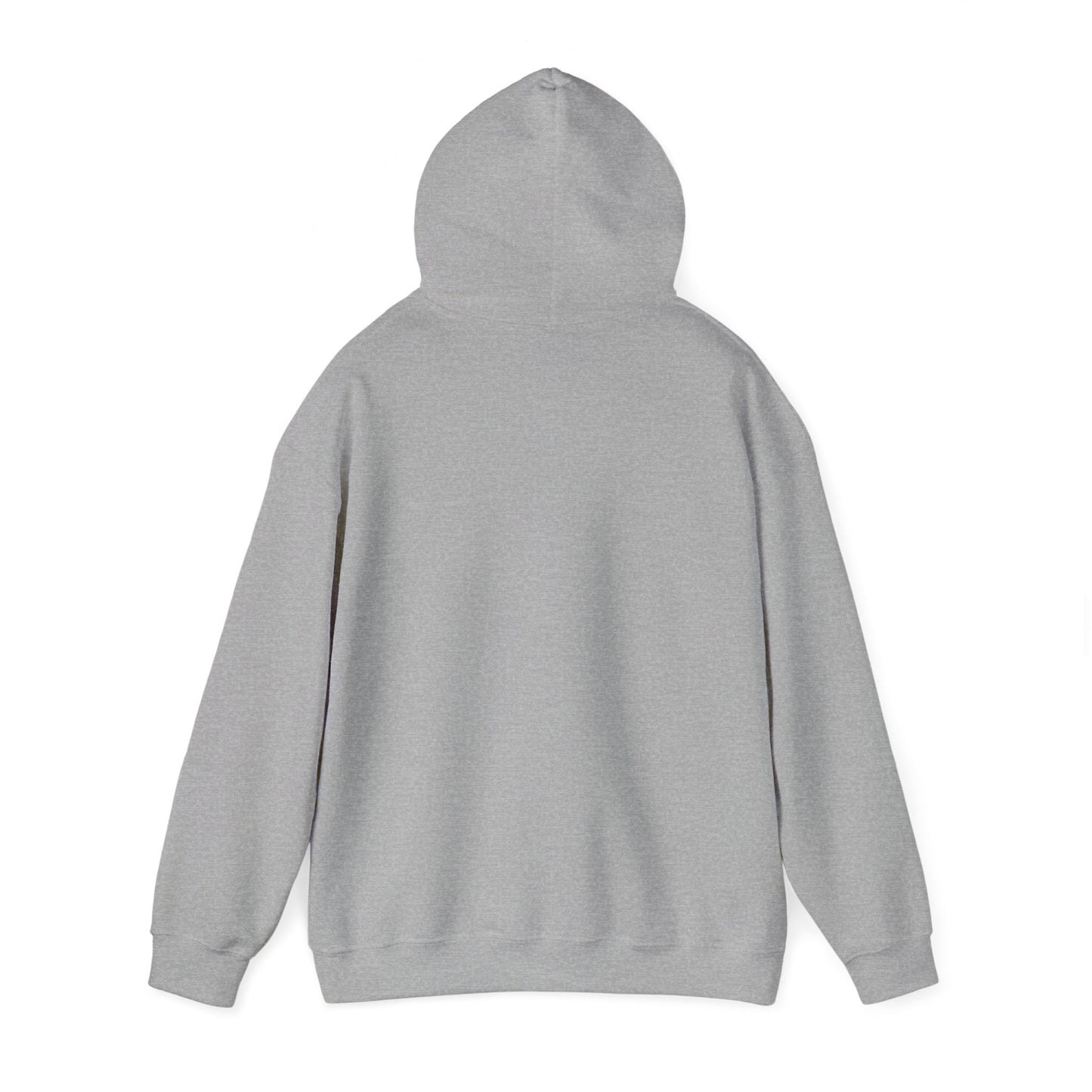 Make America's Team Great Again Hoodie